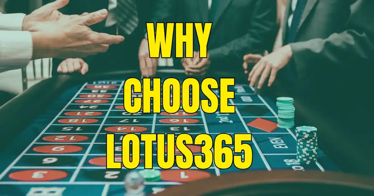 Mastering Smart Betting with Lotus365: Ultimate Guide to Casino Games | Live Sports